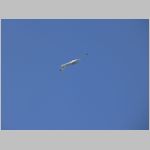 Flugtag _Lehrte_2010_013.jpg